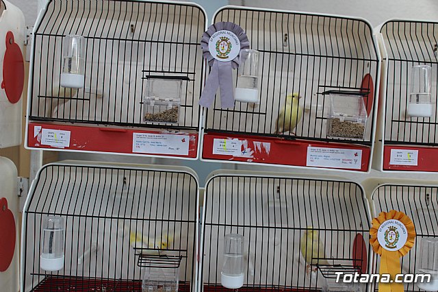 6 Campeonato Ornitolgico Regional Murciano - 56