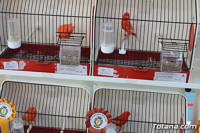 6 Campeonato Ornitolgico Regional Murciano - 64