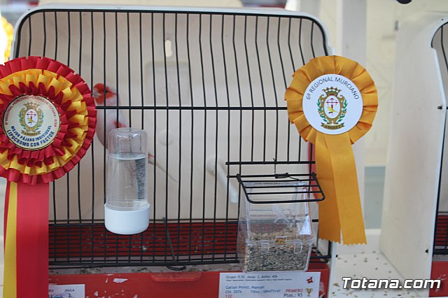 6 Campeonato Ornitolgico Regional Murciano - 68