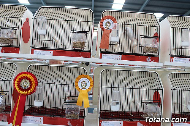 6 Campeonato Ornitolgico Regional Murciano - 71