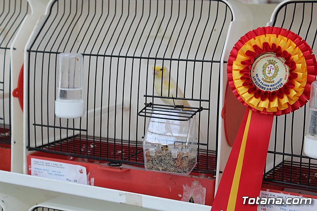 6 Campeonato Ornitolgico Regional Murciano - 72