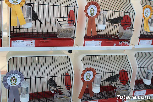 6 Campeonato Ornitolgico Regional Murciano - 79