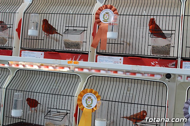 6 Campeonato Ornitolgico Regional Murciano - 86