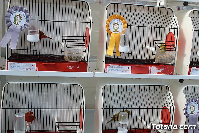 6 Campeonato Ornitolgico Regional Murciano - 87