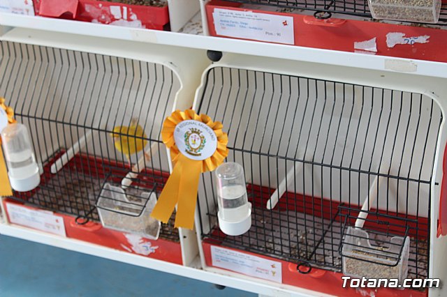 6 Campeonato Ornitolgico Regional Murciano - 90