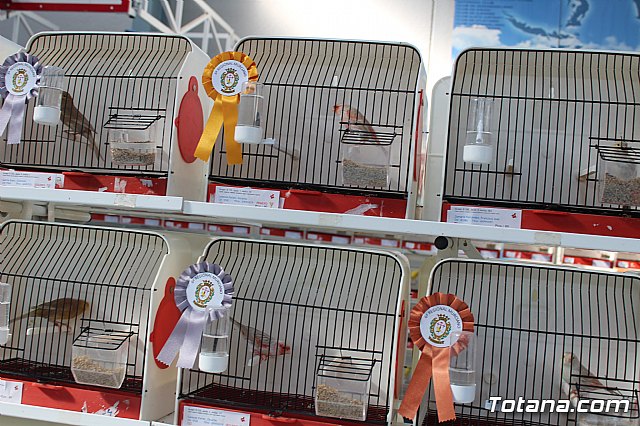 6 Campeonato Ornitolgico Regional Murciano - 91