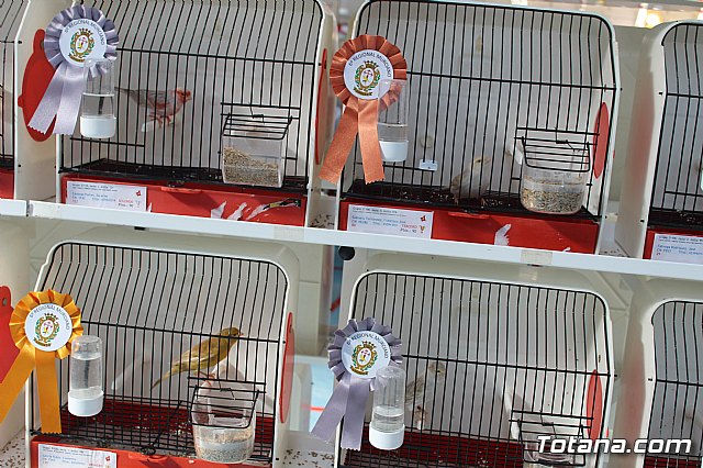 6 Campeonato Ornitolgico Regional Murciano - 92