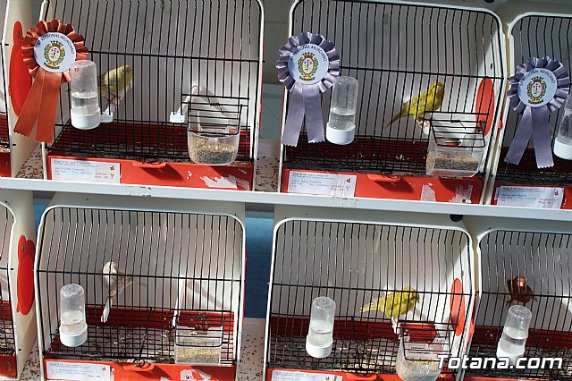 6 Campeonato Ornitolgico Regional Murciano - 94