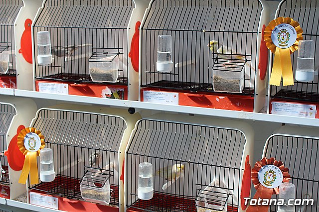 6 Campeonato Ornitolgico Regional Murciano - 95