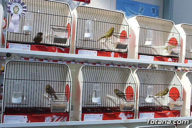 6 Campeonato Ornitolgico Regional Murciano - 97