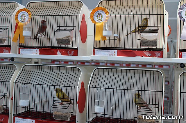6 Campeonato Ornitolgico Regional Murciano - 98