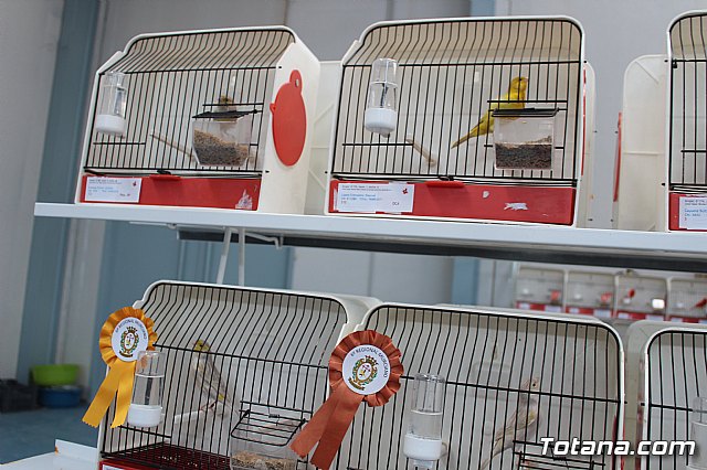 6 Campeonato Ornitolgico Regional Murciano - 99