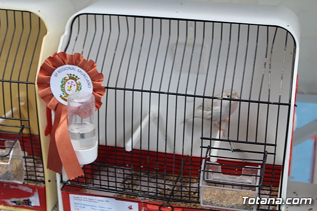 6 Campeonato Ornitolgico Regional Murciano - 100