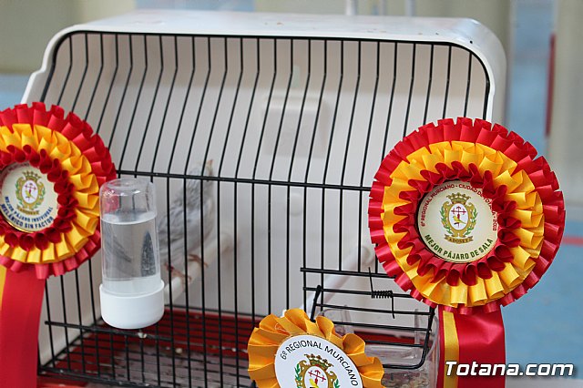 6 Campeonato Ornitolgico Regional Murciano - 102