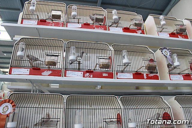 6 Campeonato Ornitolgico Regional Murciano - 103