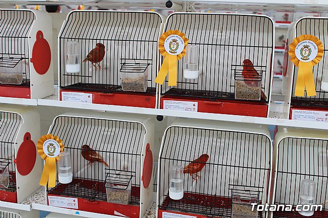 6 Campeonato Ornitolgico Regional Murciano - 107