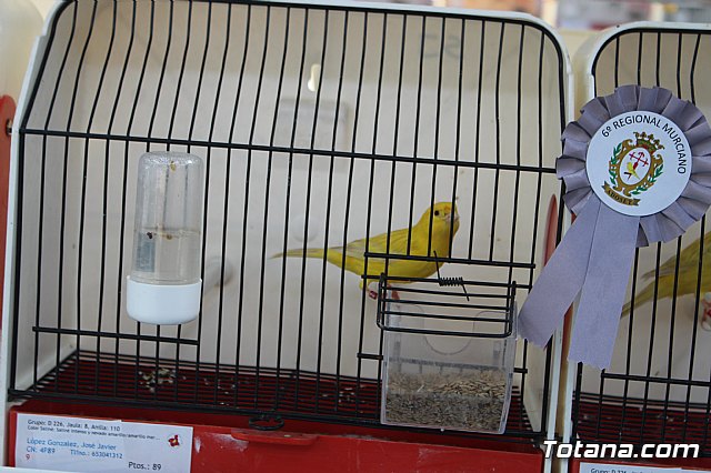 6 Campeonato Ornitolgico Regional Murciano - 109