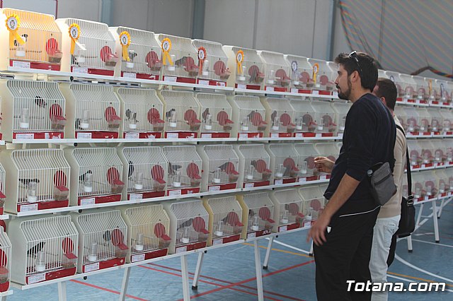 6 Campeonato Ornitolgico Regional Murciano - 110