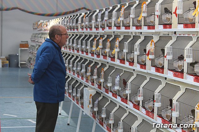 6 Campeonato Ornitolgico Regional Murciano - 111