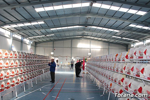 6 Campeonato Ornitolgico Regional Murciano - 121