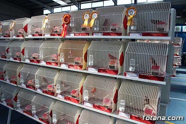 6 Campeonato Ornitolgico Regional Murciano - 124