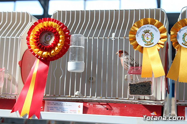 6 Campeonato Ornitolgico Regional Murciano - 125