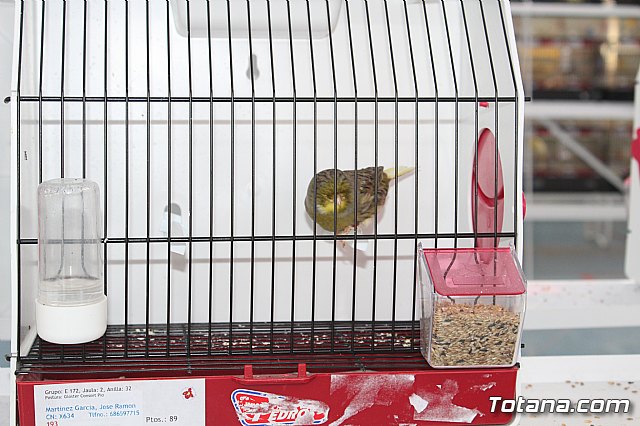 6 Campeonato Ornitolgico Regional Murciano - 127