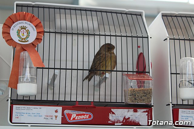 6 Campeonato Ornitolgico Regional Murciano - 128