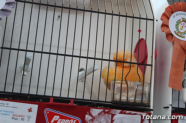 6 Campeonato Ornitolgico Regional Murciano - 132