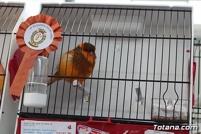 6 Campeonato Ornitolgico Regional Murciano - 133