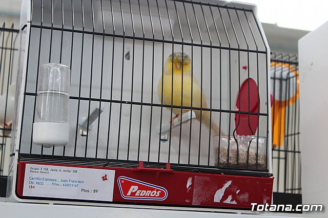 6 Campeonato Ornitolgico Regional Murciano - 134