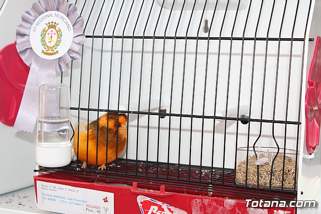 6 Campeonato Ornitolgico Regional Murciano - 135