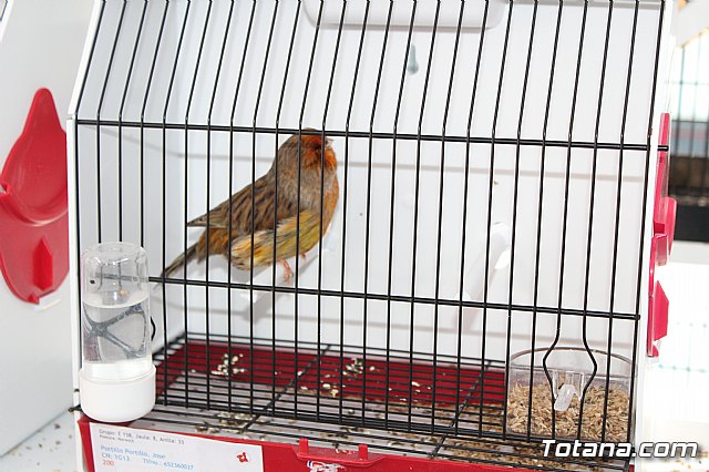 6 Campeonato Ornitolgico Regional Murciano - 138