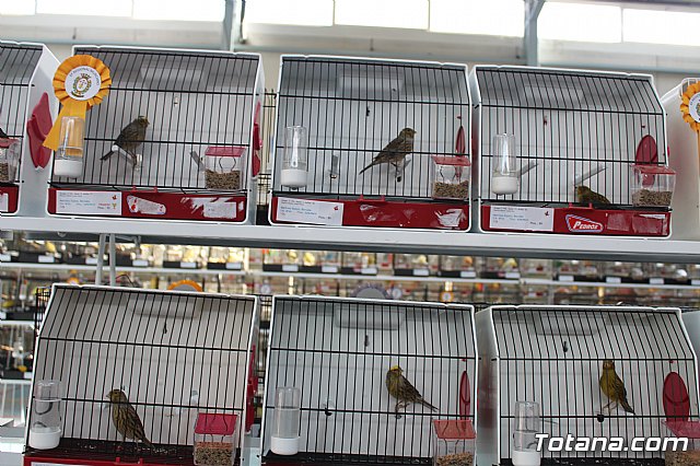 6 Campeonato Ornitolgico Regional Murciano - 140