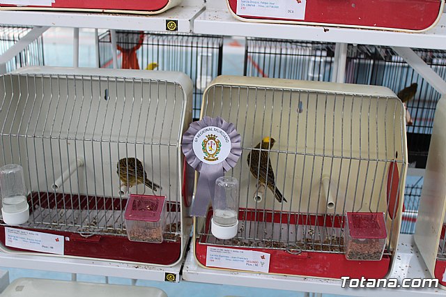 6 Campeonato Ornitolgico Regional Murciano - 141