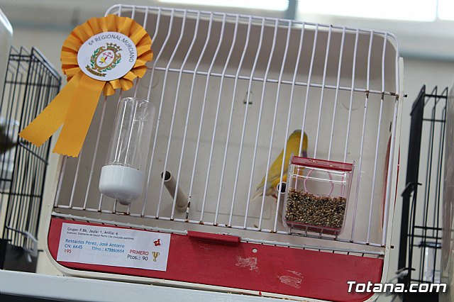 6 Campeonato Ornitolgico Regional Murciano - 145