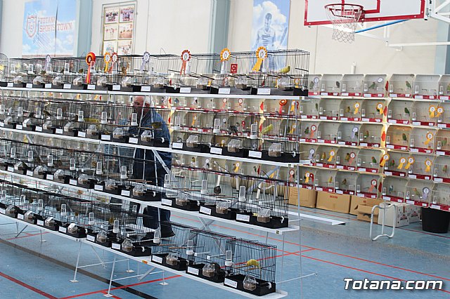 6 Campeonato Ornitolgico Regional Murciano - 151