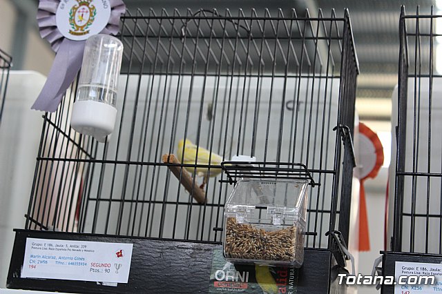 6 Campeonato Ornitolgico Regional Murciano - 153