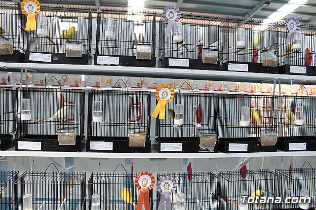 6 Campeonato Ornitolgico Regional Murciano - 163