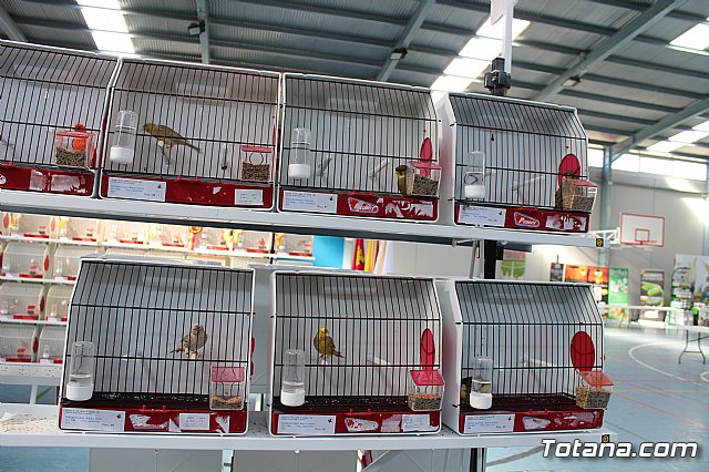 6 Campeonato Ornitolgico Regional Murciano - 164