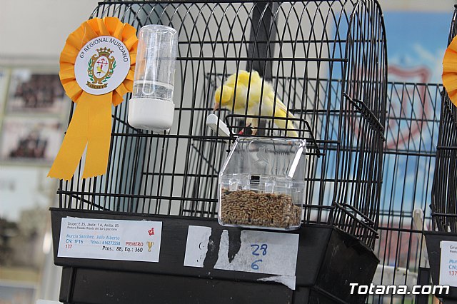 6 Campeonato Ornitolgico Regional Murciano - 166