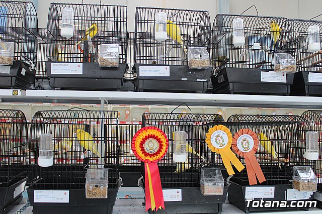 6 Campeonato Ornitolgico Regional Murciano - 173