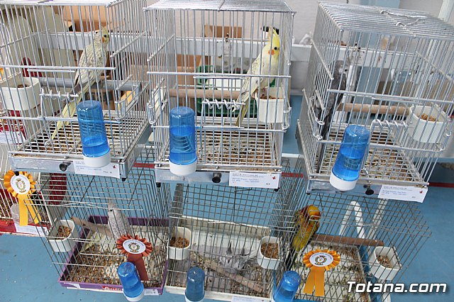 6 Campeonato Ornitolgico Regional Murciano - 183