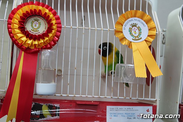 6 Campeonato Ornitolgico Regional Murciano - 187