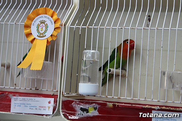 6 Campeonato Ornitolgico Regional Murciano - 188