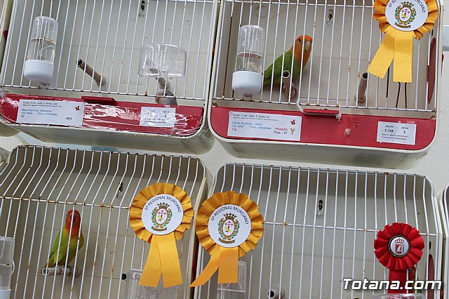 6 Campeonato Ornitolgico Regional Murciano - 189