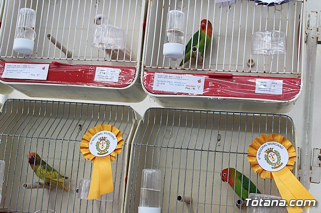 6 Campeonato Ornitolgico Regional Murciano - 191