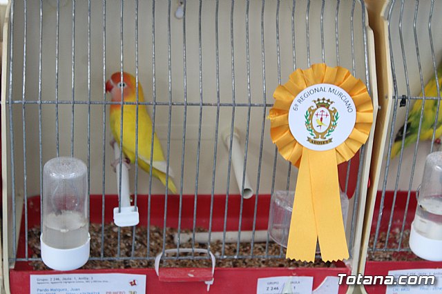 6 Campeonato Ornitolgico Regional Murciano - 195