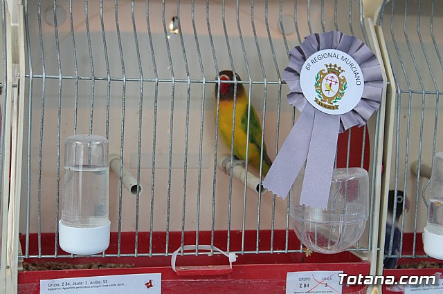 6 Campeonato Ornitolgico Regional Murciano - 198