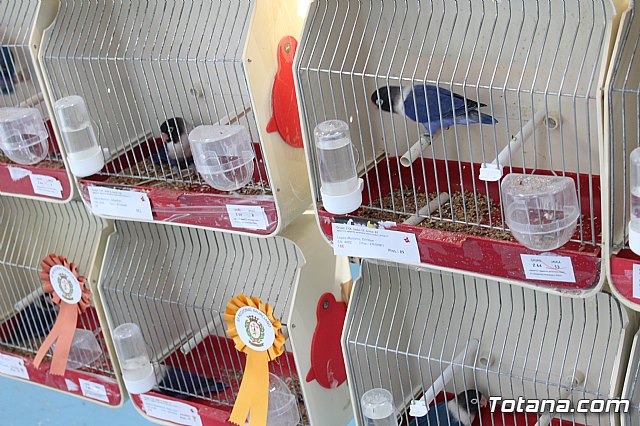 6 Campeonato Ornitolgico Regional Murciano - 200